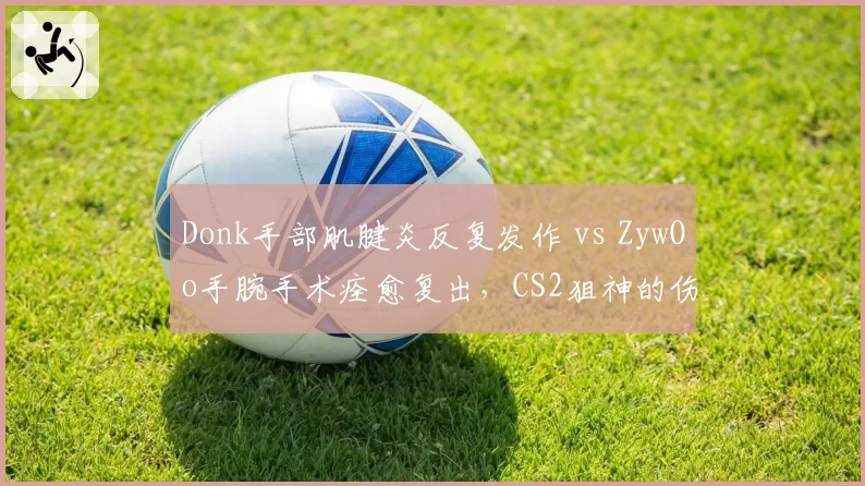 Donk手部肌腱炎反复发作 vs ZywOo手腕手术痊愈复出，CS2狙神的伤病管理差距