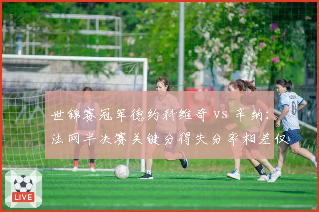 世锦赛冠军德约科维奇 vs 辛纳：法网半决赛关键分得失分率相差仅1.2%